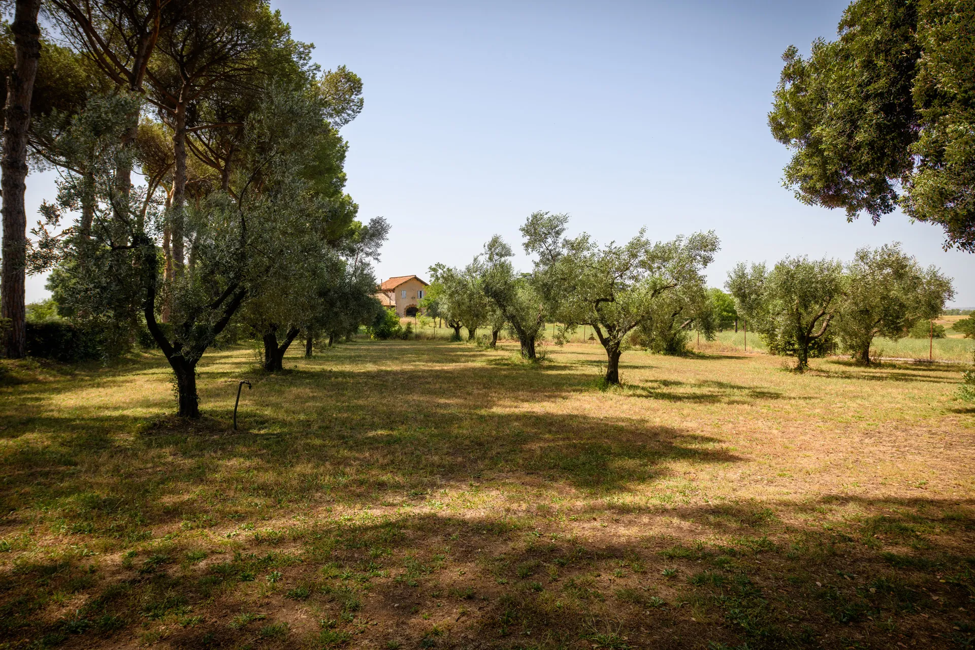 Location per fiere e mercatini