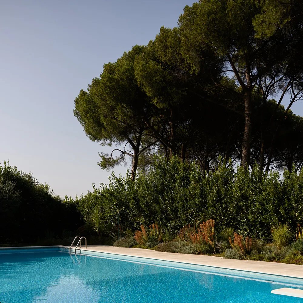 Una villa con piscina a Roma